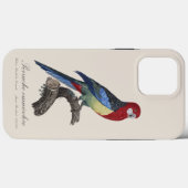 Perruche omnicolore / Eastern rosella Case-Mate iPhone Hülle (Rückseite (Horizontal))
