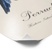 Perruche omnicolore / Eastern rosella Fotodruck (Ecke)