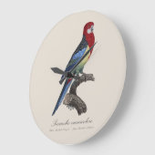 Perruche omnicolore / Eastern rosella Große Wanduhr (Winkel)