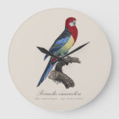 Perruche omnicolore / Eastern rosella Große Wanduhr (Vorderseite)