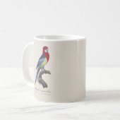 Perruche omnicolore / Eastern rosella Kaffeetasse (Vorderseite Links)