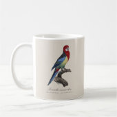 Perruche omnicolore / Eastern rosella Kaffeetasse (Links)