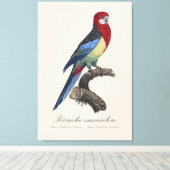 Perruche omnicolore / Eastern rosella Leinwanddruck (Insitu (Holzboden))