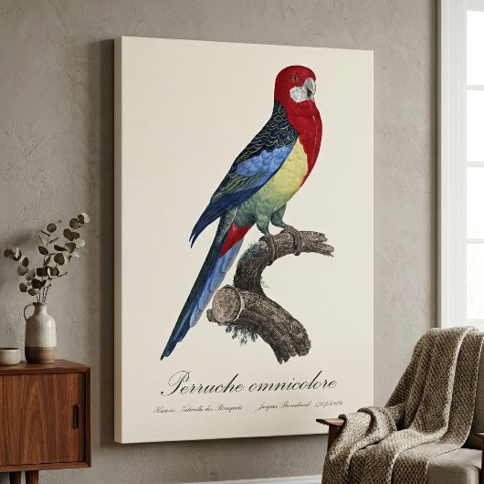 Perruche omnicolore / Eastern rosella Leinwanddruck