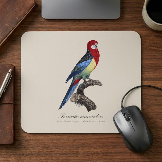 Perruche omnicolore / Eastern rosella Mousepad