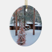 Perry Park im Winter Weihnachtsschmuck (Rechts)