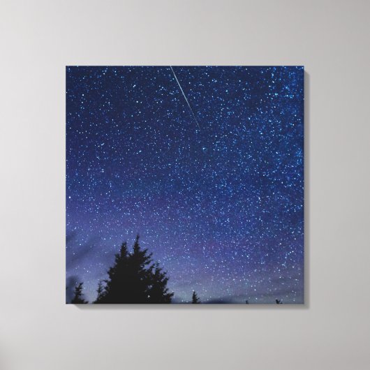 Perseid Meteor Shower Leinwanddruck (Vorderseite)