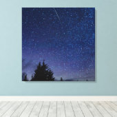 Perseid Meteor Shower Leinwanddruck (Insitu (Holzboden))