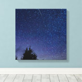 Perseid Meteor Shower Leinwanddruck (Insitu (Holzboden))