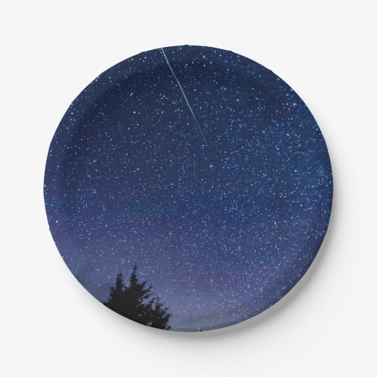 Perseid Meteor Shower Pappteller (Vorderseite)