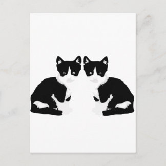 persephone&hades 'tuxedo cat' postkarte