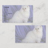 Perser, Chinchilla Visitenkarte (Vorne/Hinten)