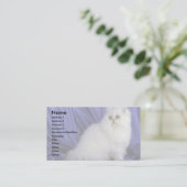 Perser, Chinchilla Visitenkarte (Stehend Vorderseite)