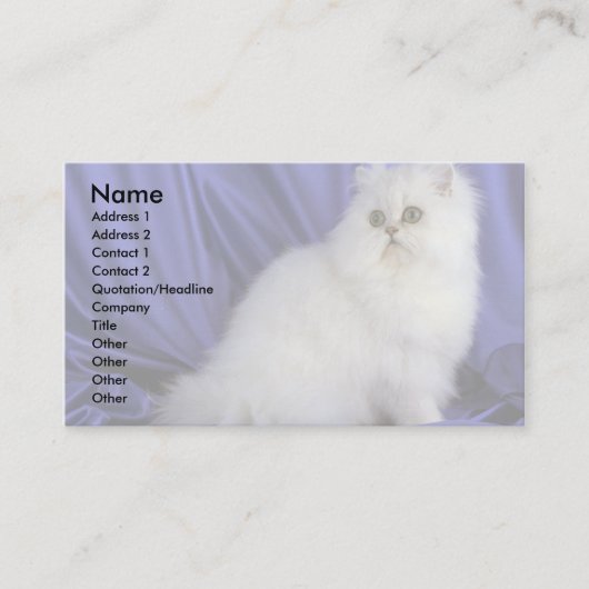 Perser, Chinchilla Visitenkarte (Vorderseite)