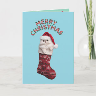 Perser-Kätzchen-Weihnachtsstrumpf Karte
