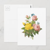 Persergelbe Rose, Tee-Rose von Redouté Postkarte (Vorne/Hinten)