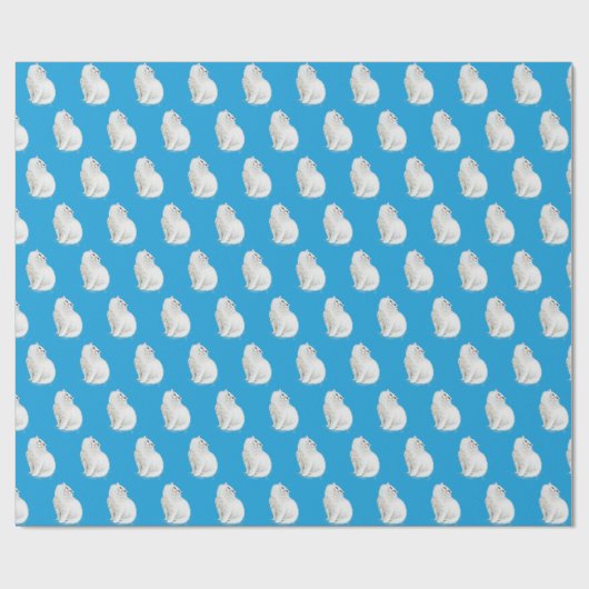 Perserkatze auf Aqua Geschenkpapier (Flach)