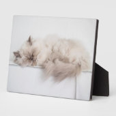 Perserkatze Fotoplatte (Seite)