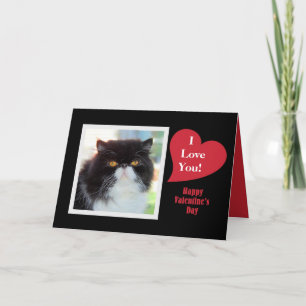 Perserkatze I Liebe You Valentine Feiertagskarte