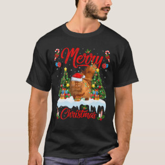 Perserkatze Lover Xmas Lighting Santa Persian Cat T-Shirt