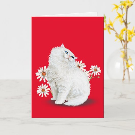 Perserkatze mit Gänseblümchen Karte (Gelbe Blume)