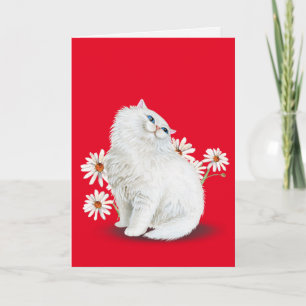 Perserkatze mit Gänseblümchen Karte