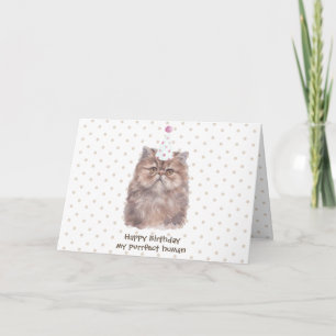 Perserkatze mit Geburtstagshut Karte
