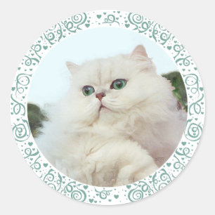Perserkatze mit Jadeaugen Runder Aufkleber