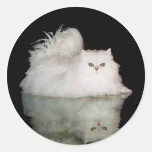 Perserkatze mit jadegrünen Augen Runder Aufkleber