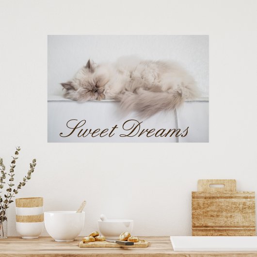 Perserkatze Poster (Küche)