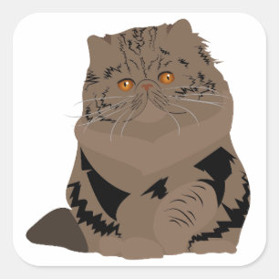 Perserkatze Quadratischer Aufkleber