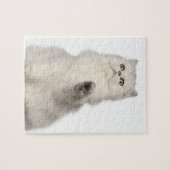 Perserkatze sitzend puzzle (Horizontal)