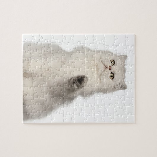 Perserkatze sitzend puzzle (Horizontal)