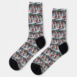 Perserkatze sitzt im Schnee mit Weihnachtsmütze Socken