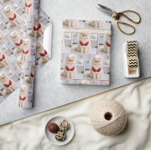 Perserkatze trägt einen roten BH Geschenkpapier