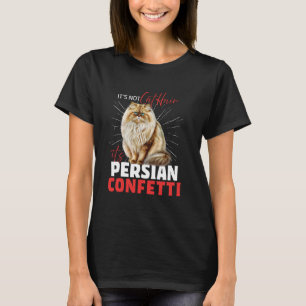 Perserkatzen NICHT PERSERKATZENHAAR ES IST PERSER T-Shirt