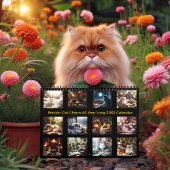 Perserkatzenarm ganzjährig 20XX Kalender