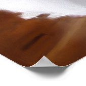 Perserkatzenposter Poster (Ecke)