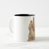 Perserspielen (3 Jahre alt) Zweifarbige Tasse (Vorderseite Links)