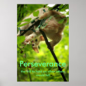 Perserver-Poster Poster (Vorne)
