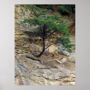 Perseverance Tree Poster