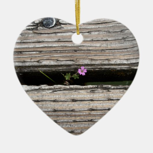 Perseverence Keramikornament (Vorne)