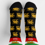 Persia Socks, Persian flag with Lion /Shah of Iran Socken (Oben)