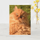 PERSIAN CAT BIRTHDAY CARD KARTE (Gelbe Blume)