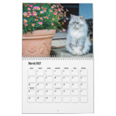Persian Cat Calendar Kalender (Mär 2027)