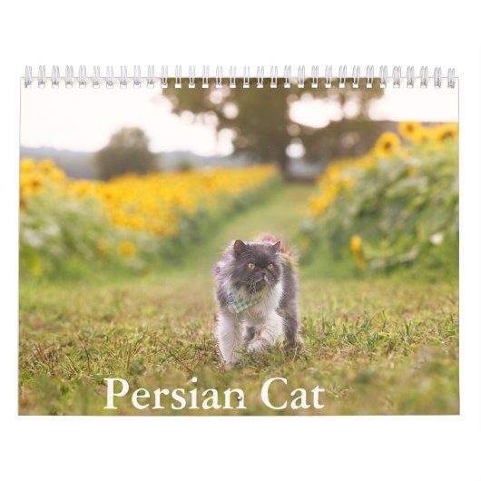 Persian Cat Calendar Kalender (Titelbild)