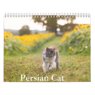 Persian Cat Calendar Kalender