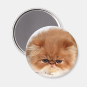 Persian Cat Face Magnet (Vorderseite/Rückseite)
