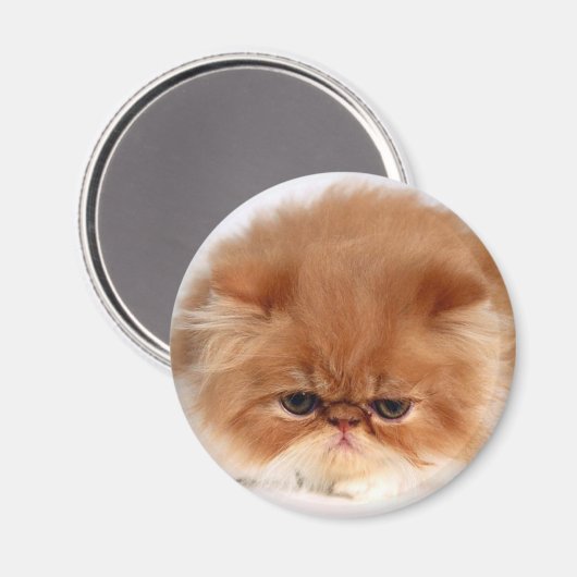 Persian Cat Face Magnet (Vorderseite/Rückseite)