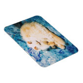 Persian Cat Foto Magnet (Rechte Seite)